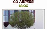 сжат (41)
